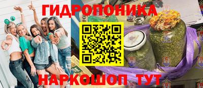 spice Кулебаки
